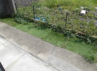 庭