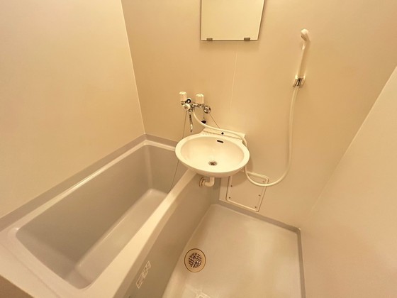バス・シャワールーム　※別部屋の写真です