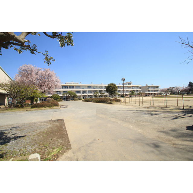 小学校　土浦市立下高津小学校（小学校）まで185m