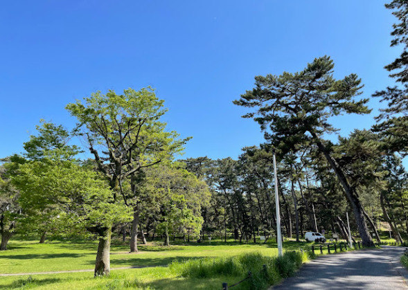 公園　稲毛公園（公園）まで568m