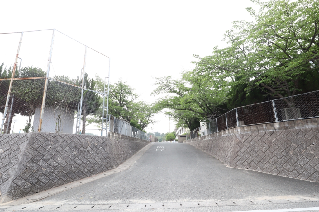 小学校　春日市立春日南小学校（小学校）まで1272m