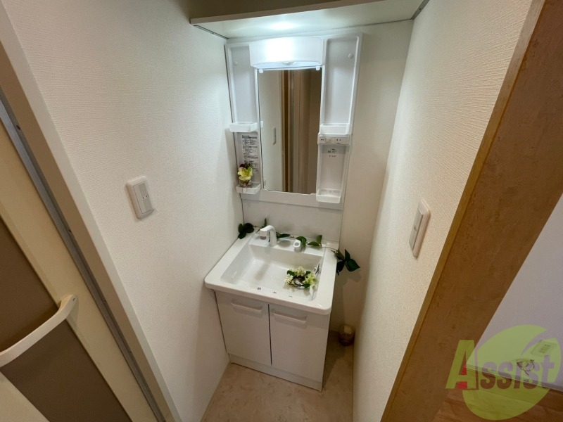 洗面設備　シャンプードレッサー。身支度はここでばっちりですね。