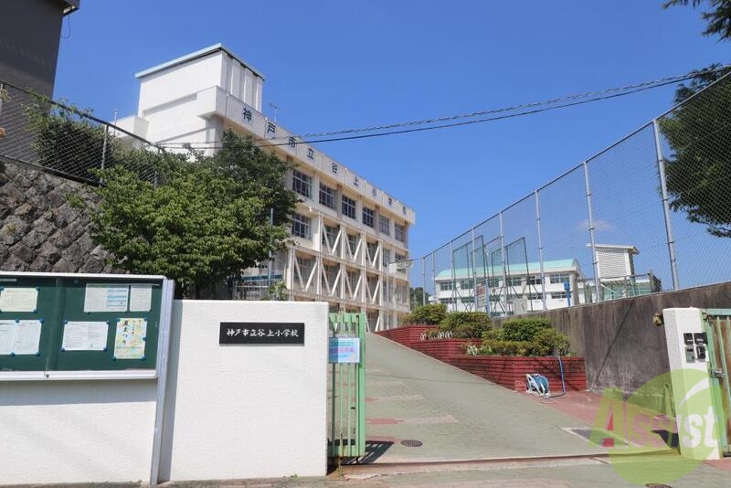 小学校　谷上小学校（小学校）まで2500m