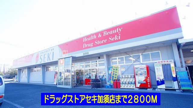 ドラックストア　ドラッグストアセキ加須店（ドラッグストア）まで2800m