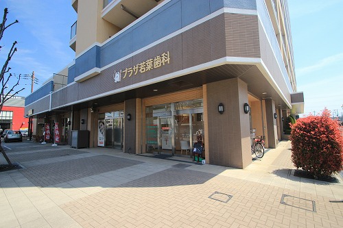 病院　プラザ若葉歯科（病院）まで243m