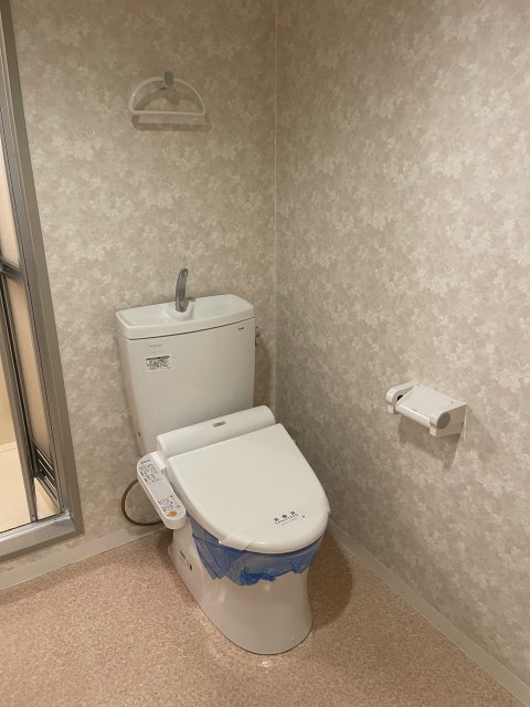 トイレ　同物件別号室のものです。