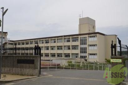 中学校　神戸市立桃山台中学校（中学校）まで726m