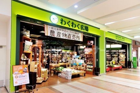 スーパー　わくわく広場ららぽーと柏の葉店（スーパー）まで1140m