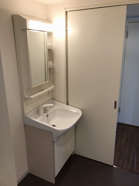 洗面設備　シャワードレッサー付きです。