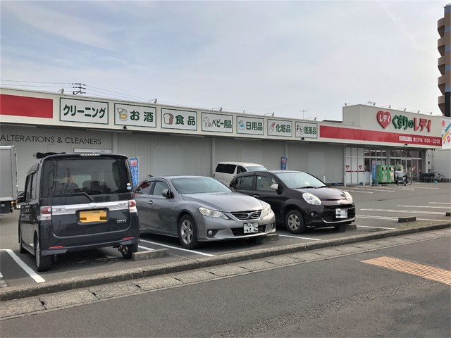 ドラックストア　くすりのレデイ南江戸店（ドラッグストア）まで211m