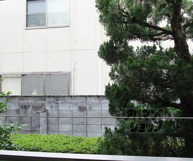 眺望　１２１号室の写真です。