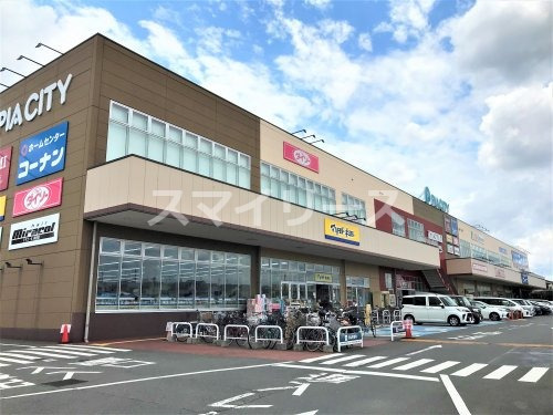 スーパー　KASUMI(カスミ)フードスクエア柏中新宿店（スーパー）まで550m
