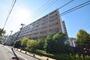 ＣＯＭＦＯＲＩＡ東品川 5階 築22年3ヶ月の賃貸物件
