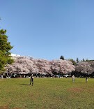 公園　南越谷第一公園（公園）まで2353m