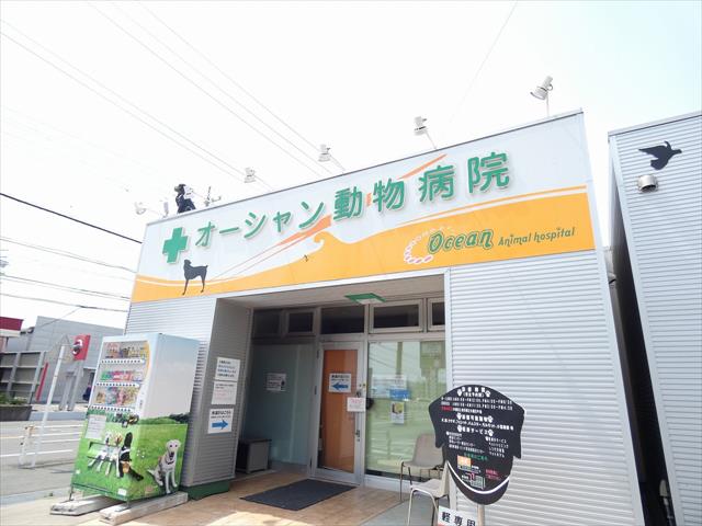 病院　オーシャン動物病院　磐田（病院）まで444m