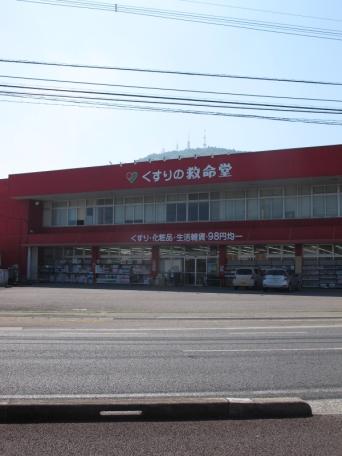 ドラックストア　救命堂南延岡店（ドラッグストア）まで300m