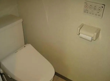 トイレ　別タイプ部屋　参考写真です