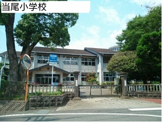 小学校　当尾小学校（小学校）まで1030m