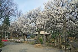 公園　向島百花園サービスセンター（公園）まで263m