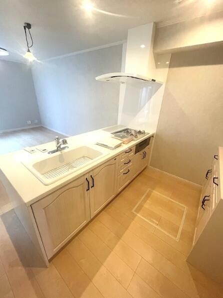 エコリビングステージ上北台のキッチン写真