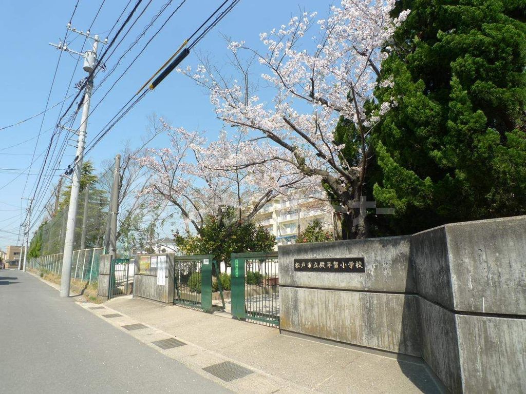 小学校　松戸市立殿平賀小学校（小学校）まで730m