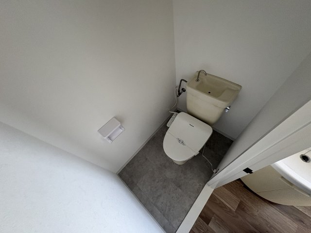 ドルフェスのトイレ写真