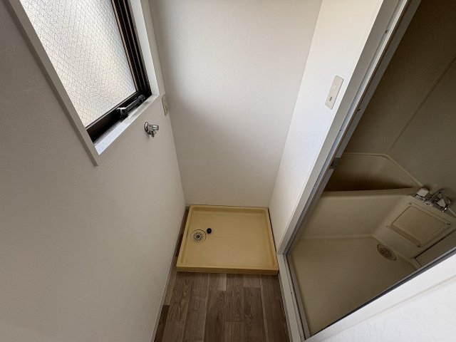 ドルフェスのその他写真