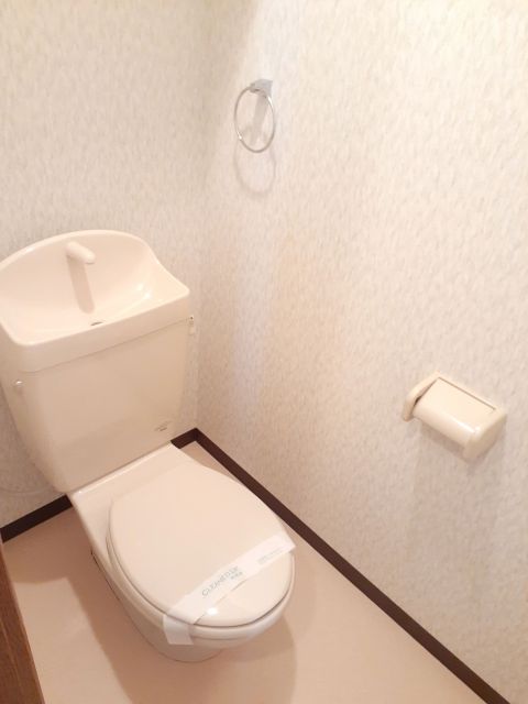 南海高野線 北野田駅 徒歩18分 2階建 築19年のトイレ写真