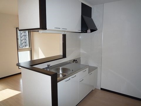 【糟屋郡志免町南里のマンションのキッチン】