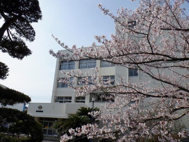 小学校　船橋市立芝山東小学校（小学校）まで305m