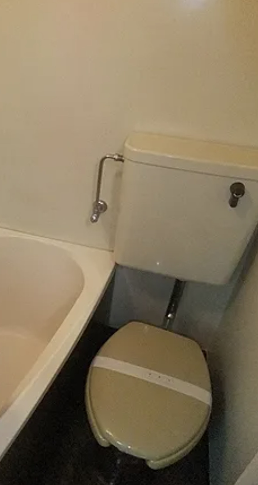 ウエルス戸手のトイレ写真