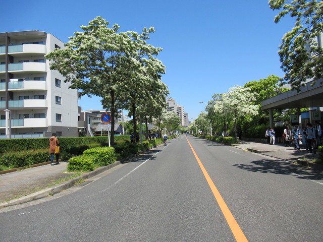 【ＵＲアーバンドエル白鳥公園のその他共有部分】