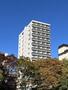 比治山下駅より徒歩8分 9階 築6年6ヶ月の賃貸物件