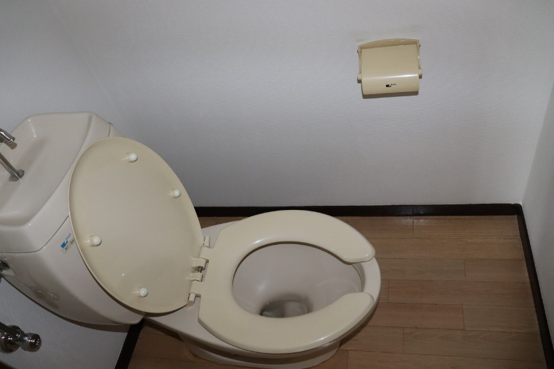 メゾンオレンジBのトイレ写真