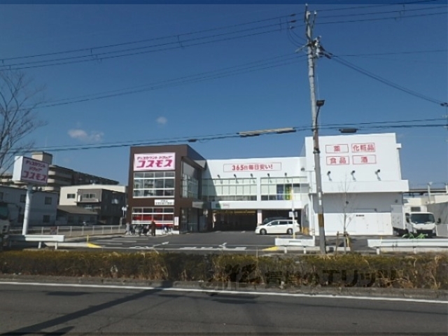 ドラックストア　コスモス祥栄店（ドラッグストア）まで1000m