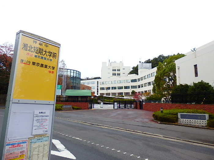 大学・短大　湘北短大（大学・短大）まで1320m