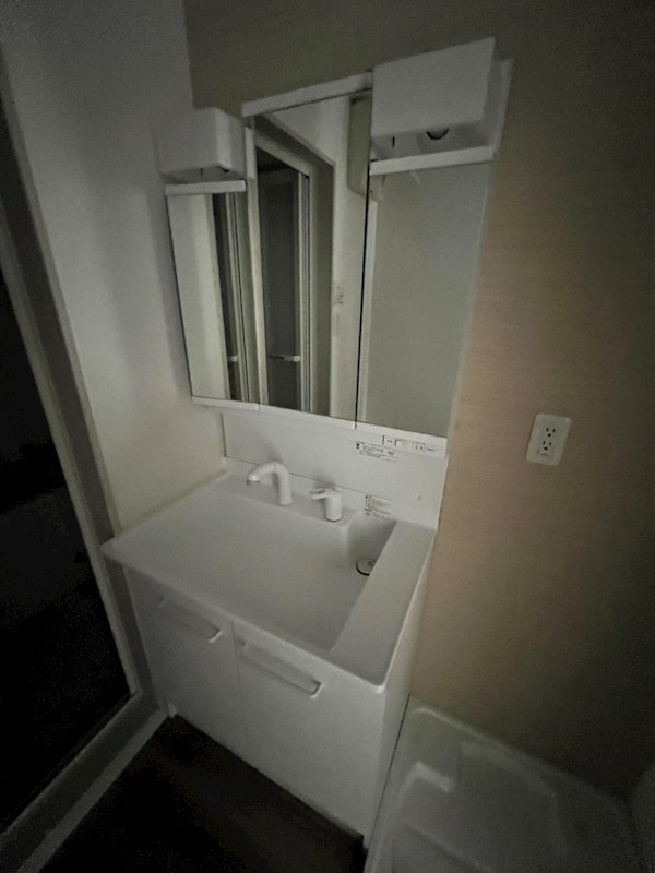 洗面設備　独立洗面化粧台付き