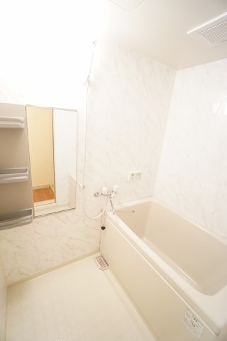 バス・シャワールーム　※同物件・同タイプの写真です