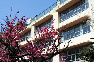 中学校　世田谷区立梅丘中学校（中学校）まで1143m