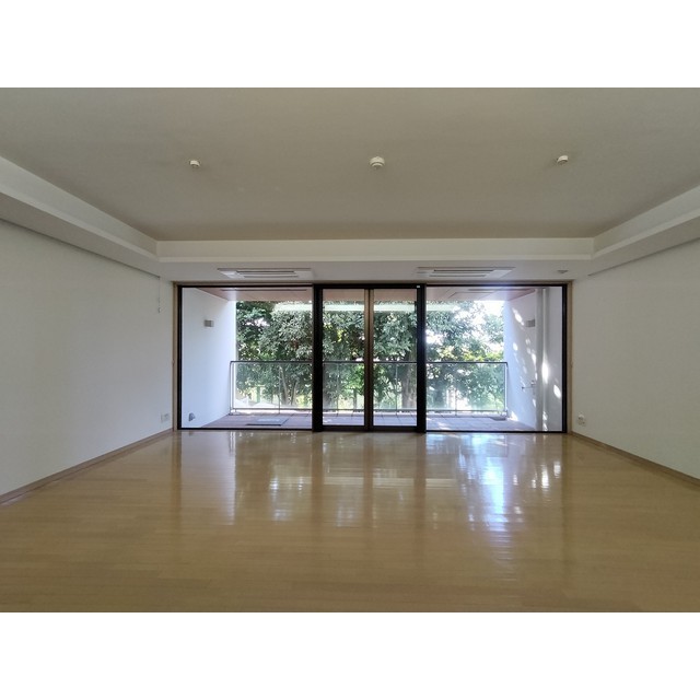 居室・リビング　２０２６年１月撮影　約１９．２帖