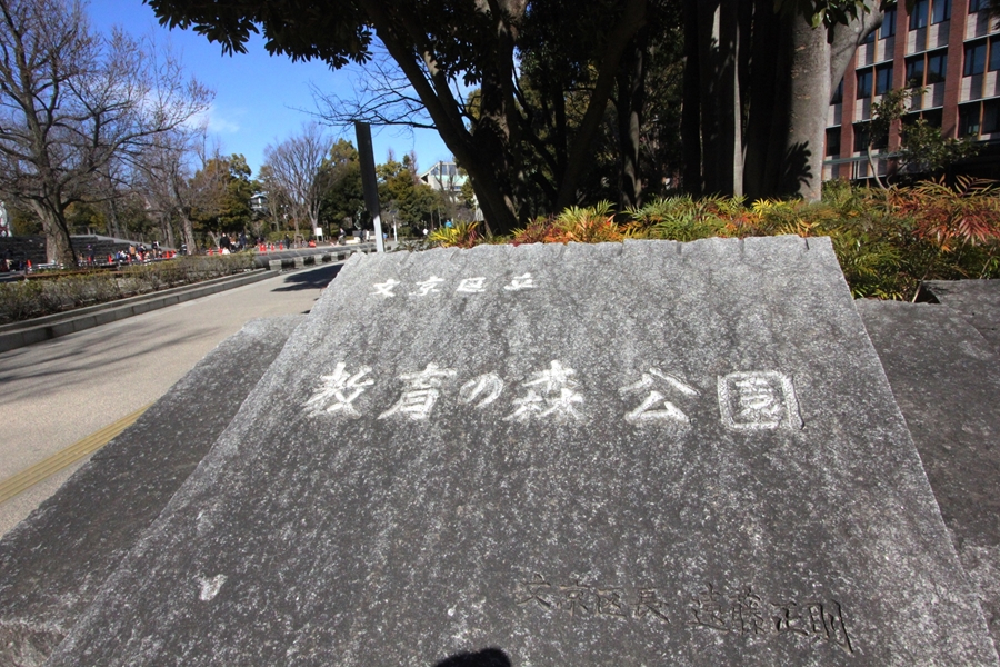 公園　教育の森公園（公園）まで498m