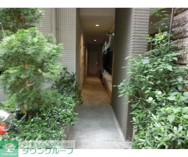 庭