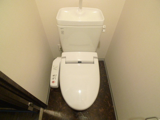 トイレ　※他号室の写真です