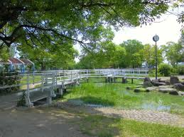 公園　舟渡公園（公園）まで1486m
