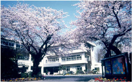 小学校　成田小学校（小学校）まで1327m
