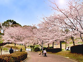 公園　中台運動公園（公園）まで314m