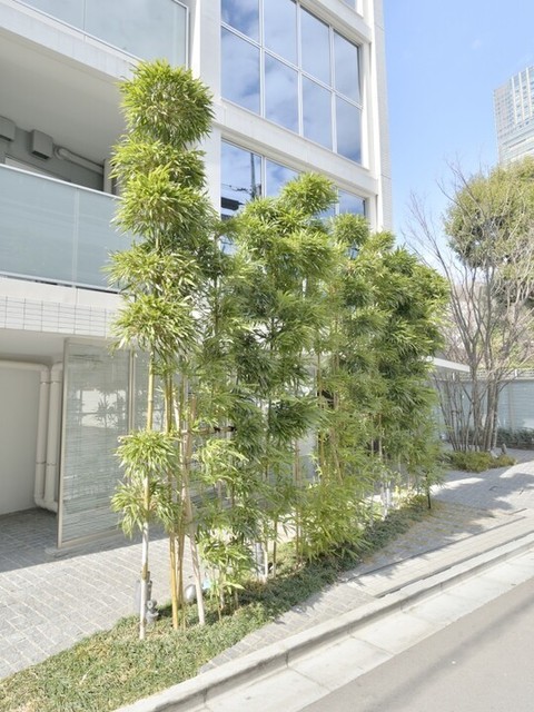 セキュリティ　エントランス植栽※前回募集時の写真です