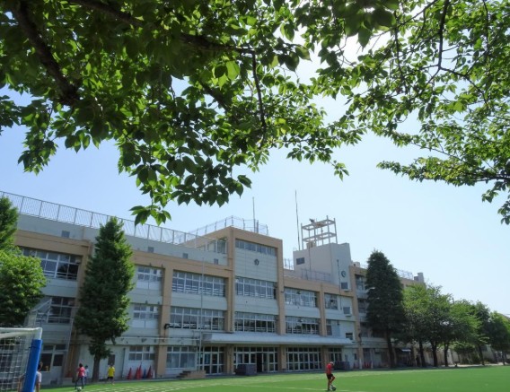 小学校　練馬区立開進第三小学校（小学校）まで330m