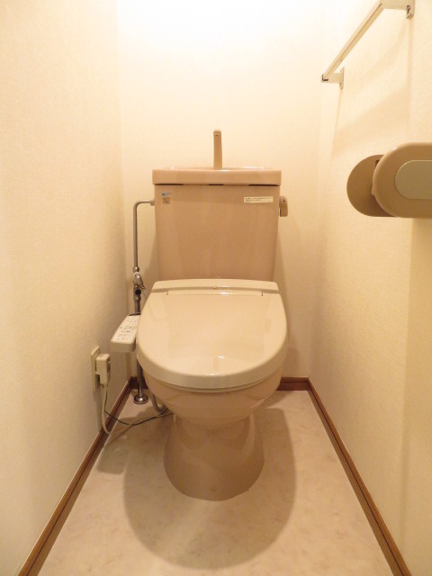 トイレ　トイレも気になるポイント