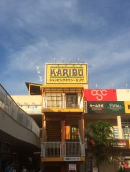 ショッピングセンター　ショッピングタウン・カリブ梅島店（ショッピングセンター）まで491m